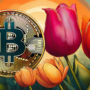 Bitcoin vs. Tulpenblase: Warum der Vergleich hinkt